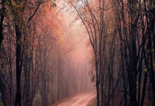 德天空：莱比锡在与中场施拉格尔谈合同，俱乐部决心与他续约.