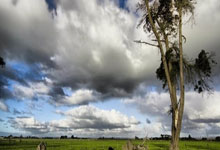 28圈：新世纪最快达成参与100球纪录榜：内马尔73场居首，凯恩83场第四.